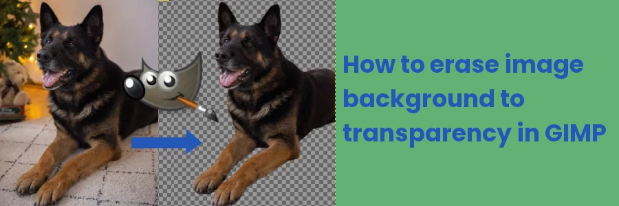 How to erase/remove image background to transparency in GIMP